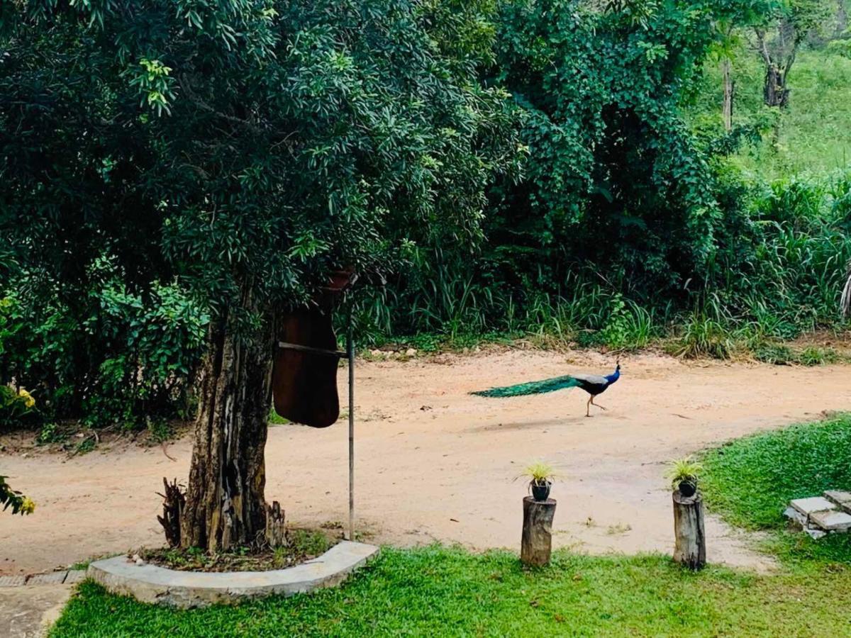 Hotel Sigiriya Rock Hide Exterior foto